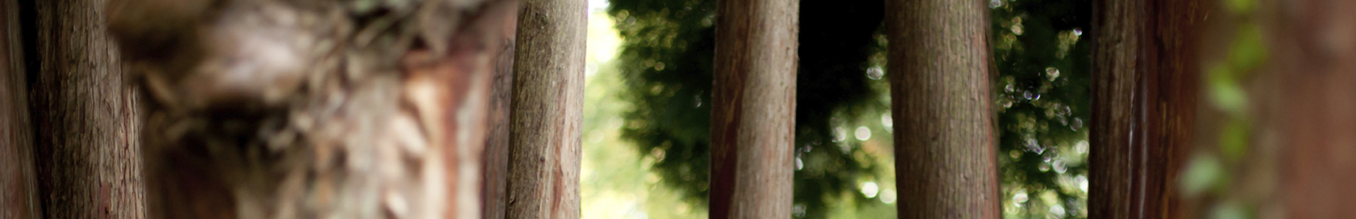pefc-header-2